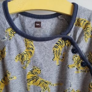 Lot of seven Tea Collection dresses size 7